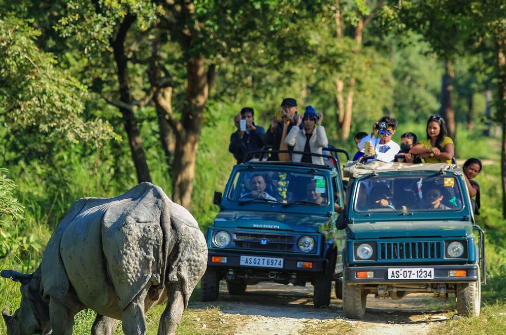 Arohi tour