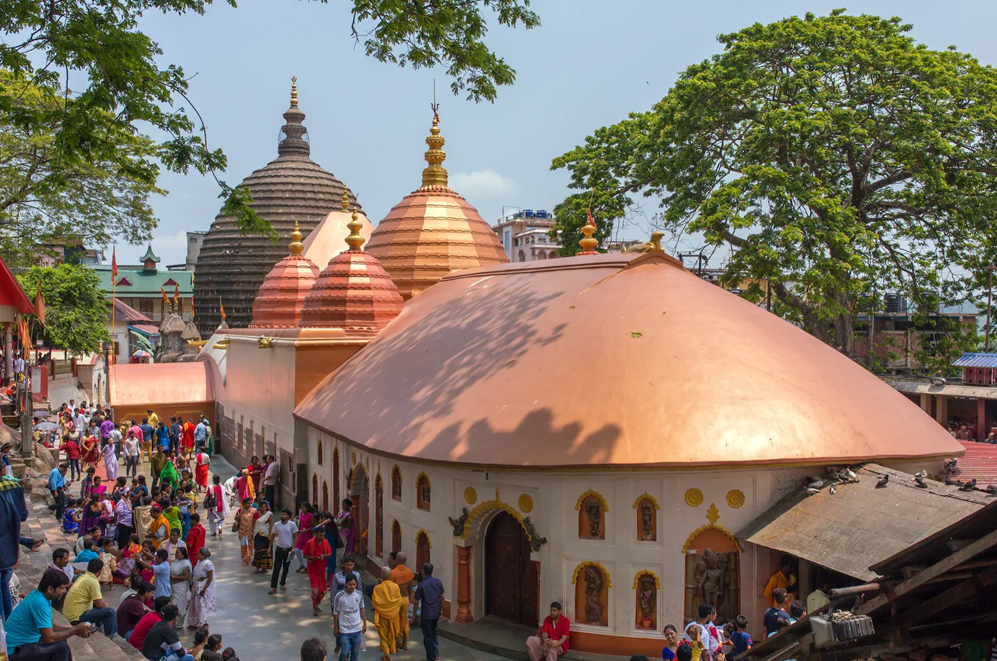 Arohi tour