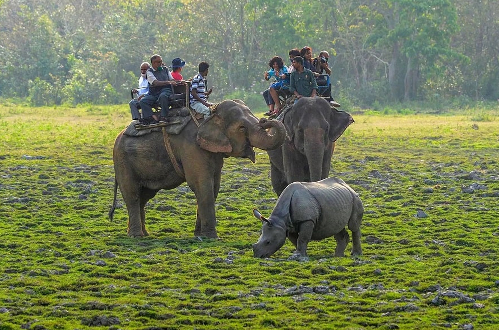 Arohi tour
