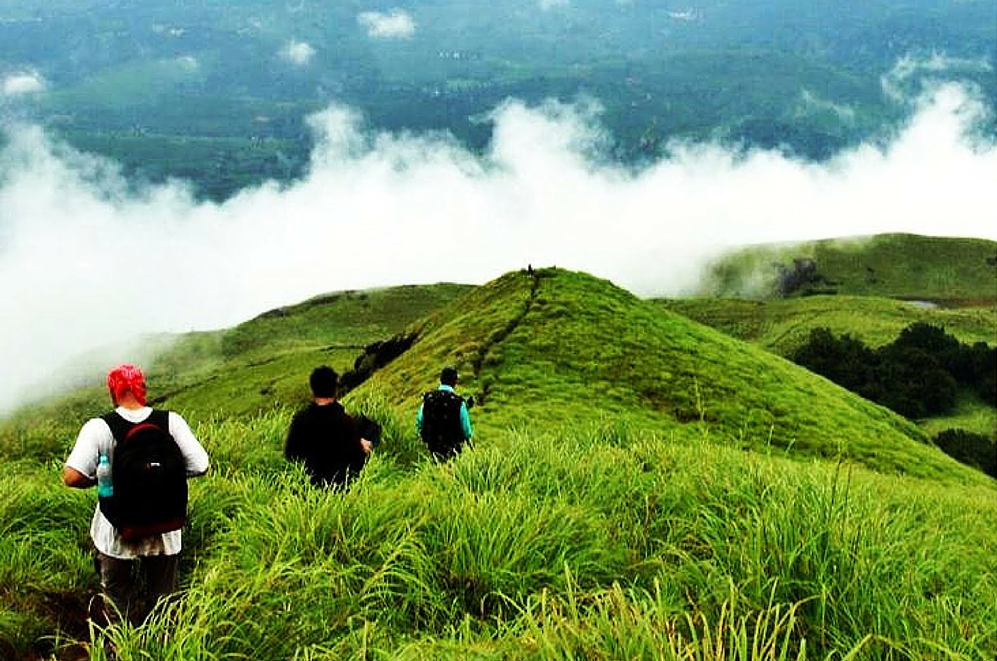 Arohi tour